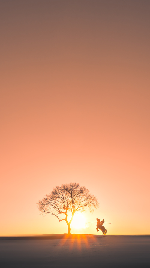 《Dota 2国际邀请赛,巨星云集震撼全场》,dota2国际邀请赛含金量