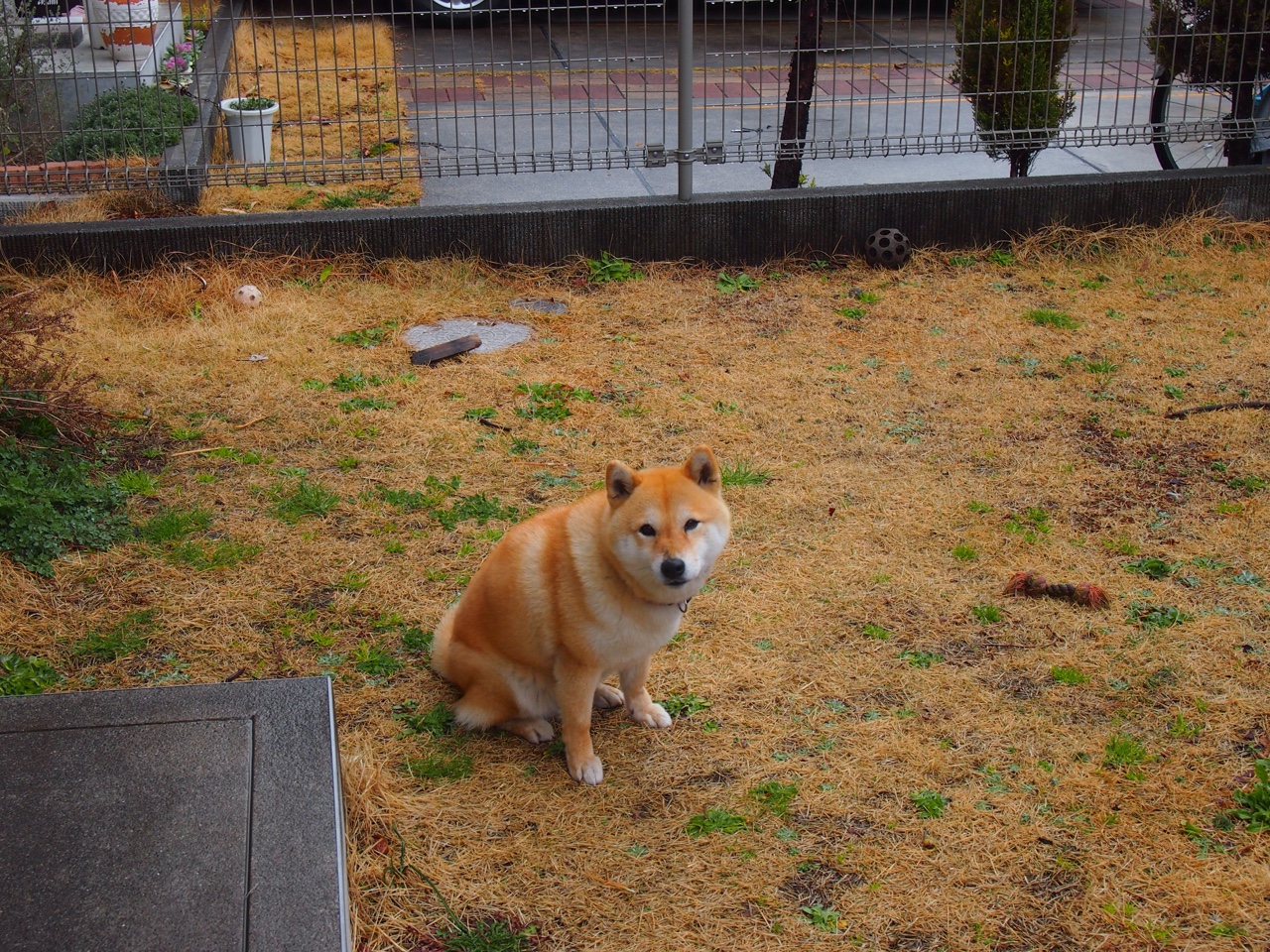 九游网-大型沙滩足球决赛，海风中的青春激情，沙滩足球比赛时间多久