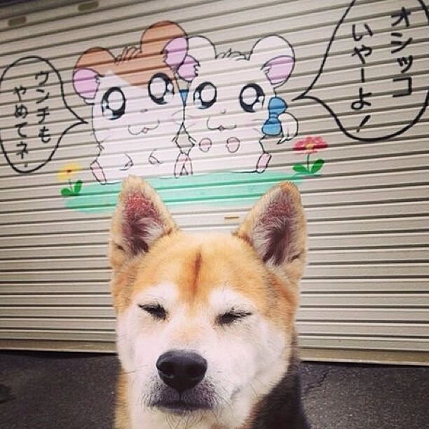 球场“铜墙铁壁”防线：最难攻破的防守巨阵，铜墙铁壁怕什么