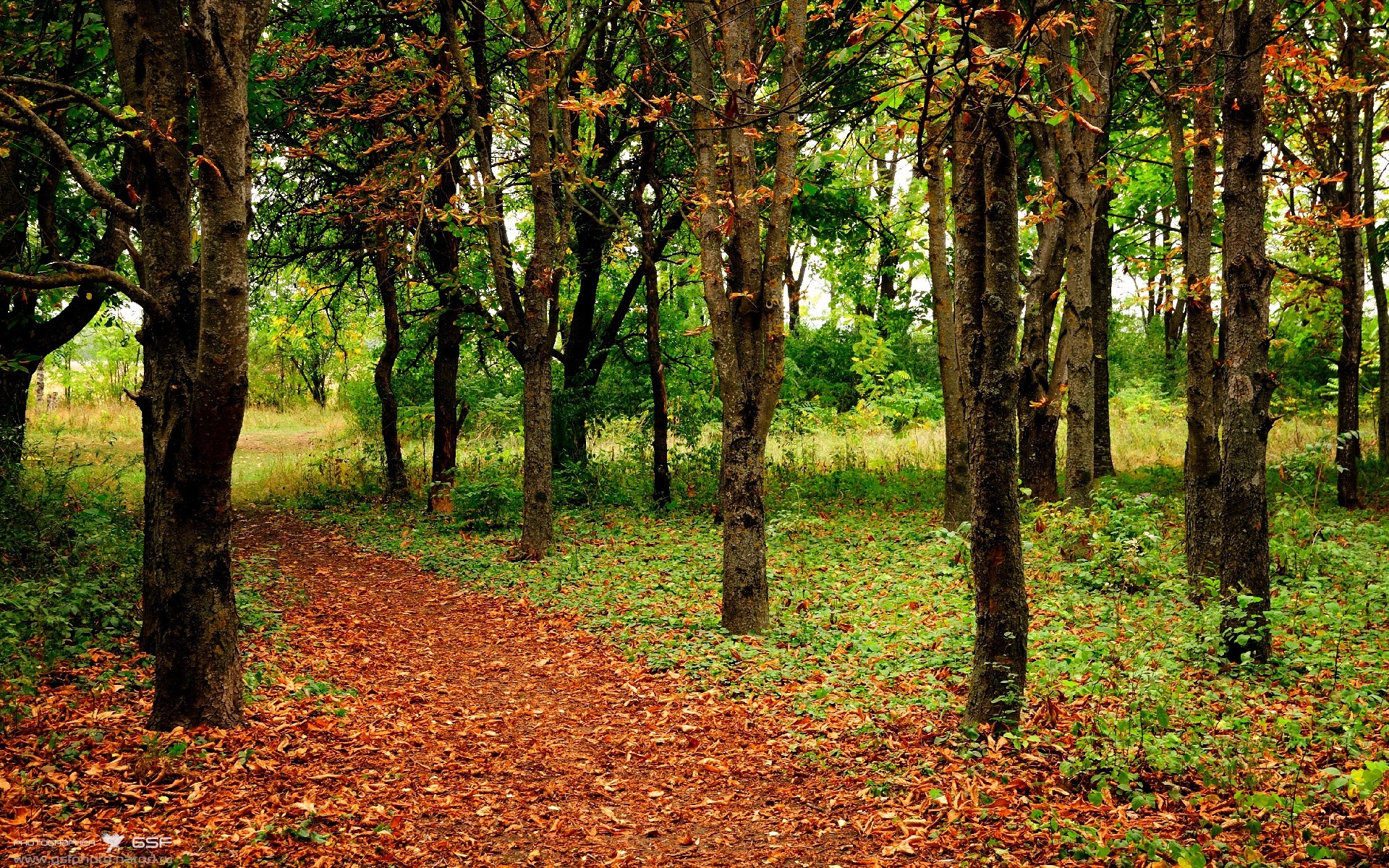 科比：用“曼巴精神”激励整个NBA和无数年轻人！，科比讲述曼巴精神