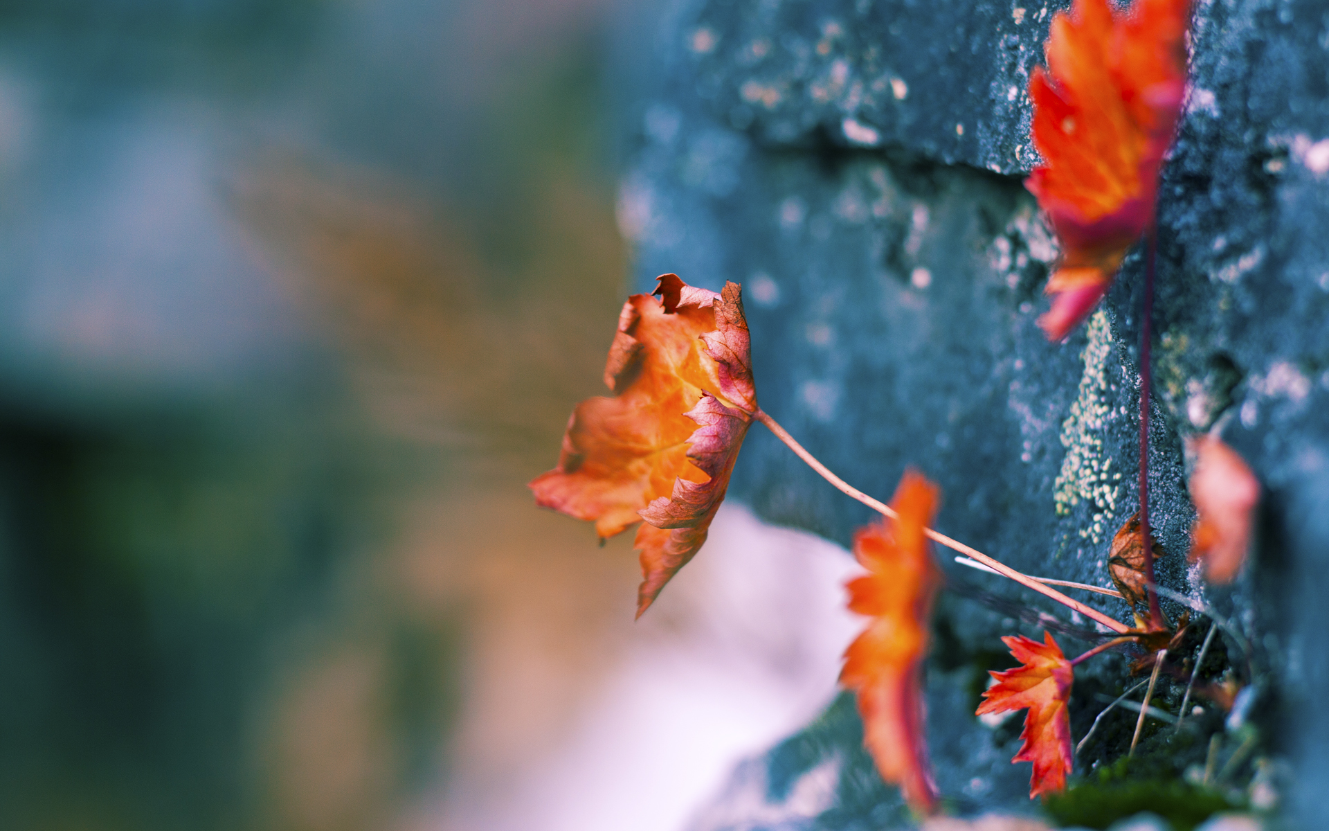 BLG辅助选手入选国家体育代表队预备队