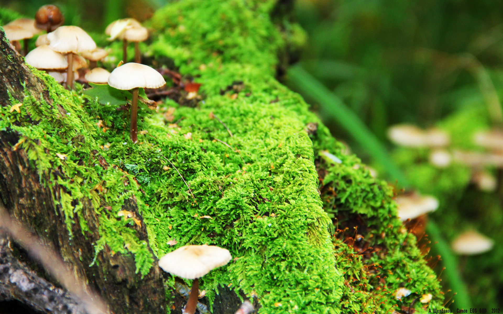 DOTA 2官方赛事规则更新，dota2比赛最新