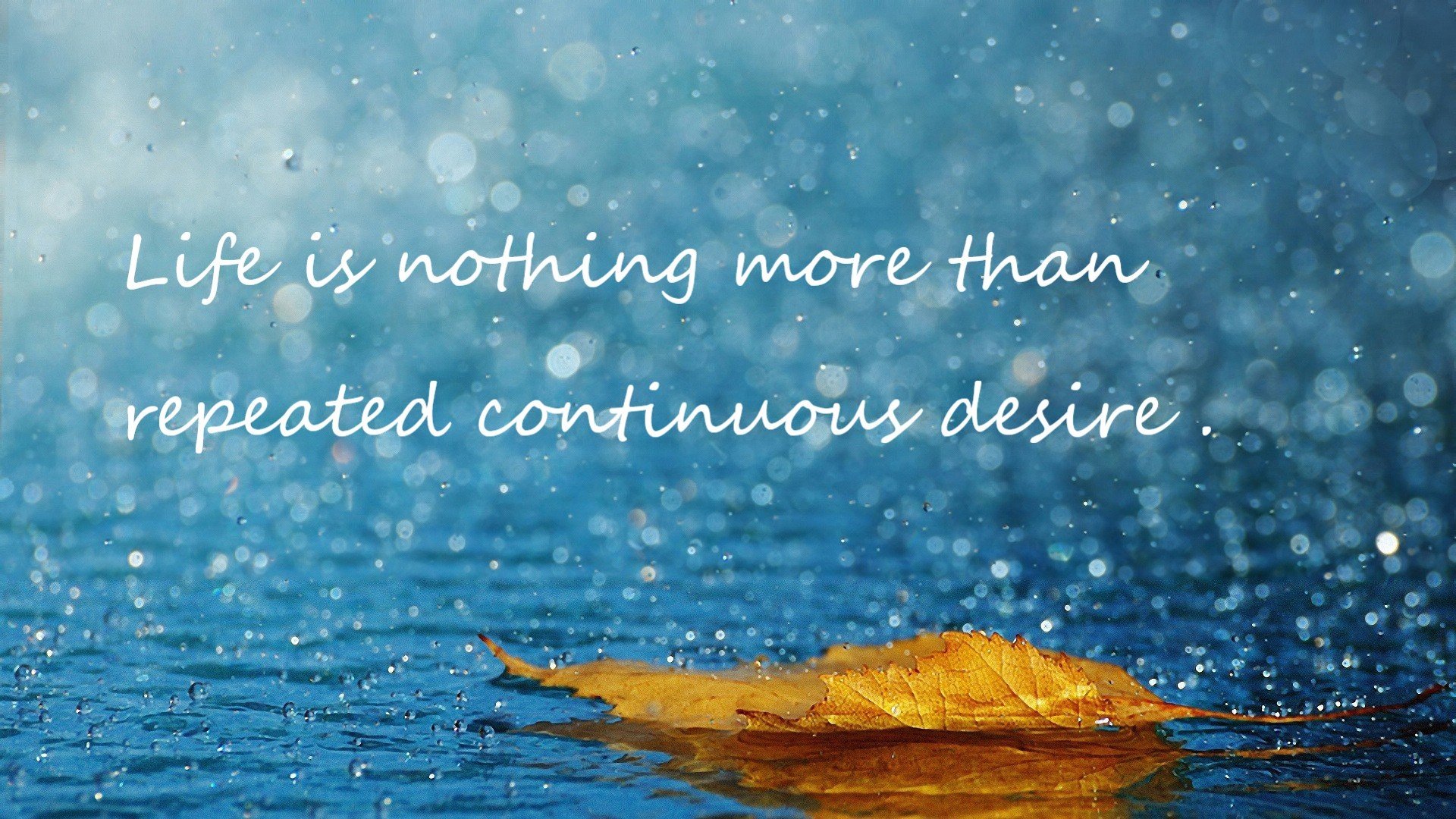 亚洲篮球运动员健康管理加强,职业篮球运动员饮食要求