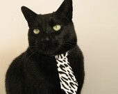 九游sports-切尔西中场球员因伤将缺席多场比赛，切尔西中场都有谁