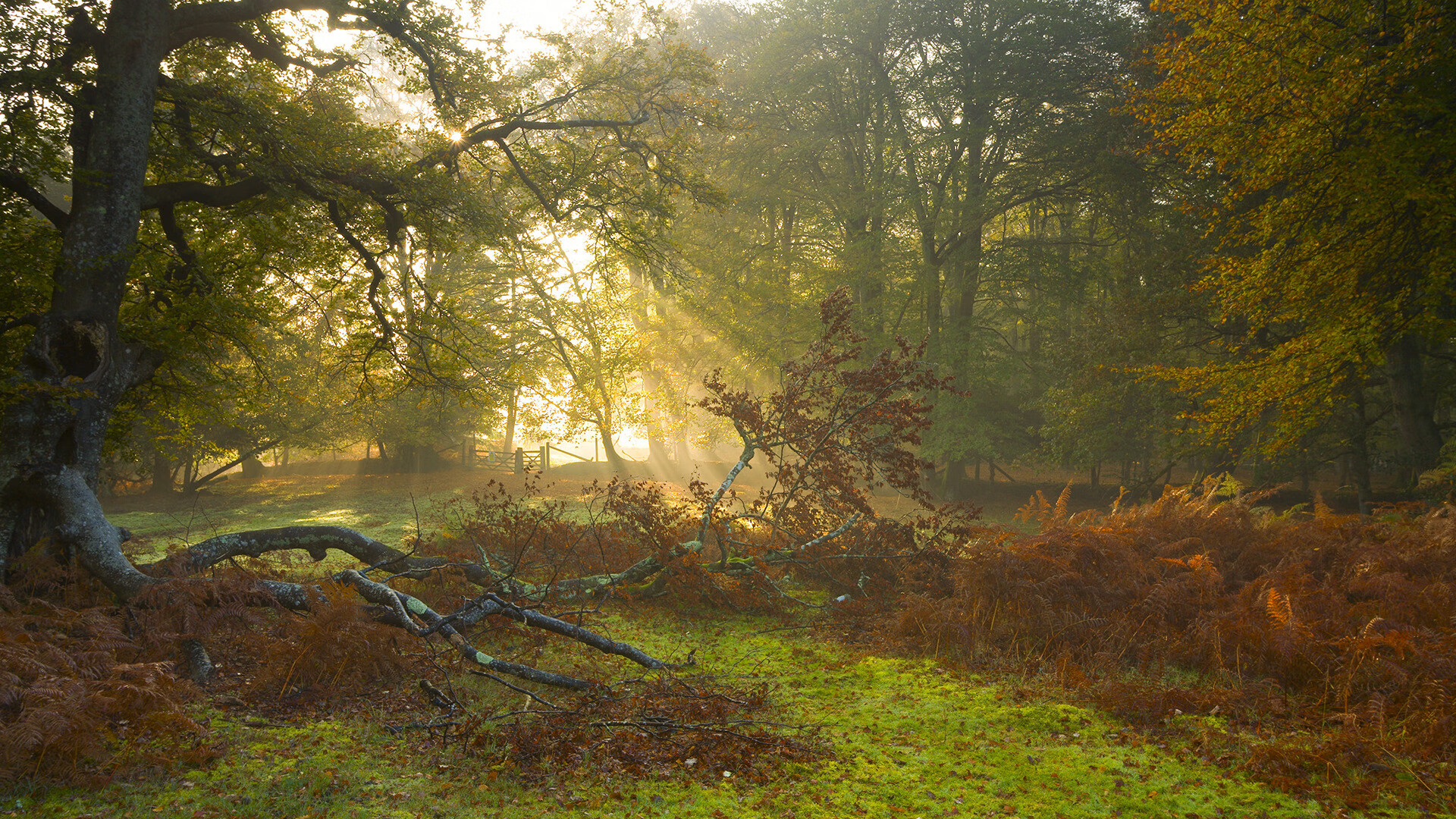九游-利兹联客场战平阿拉巴，保持领先位置，利兹联打法
