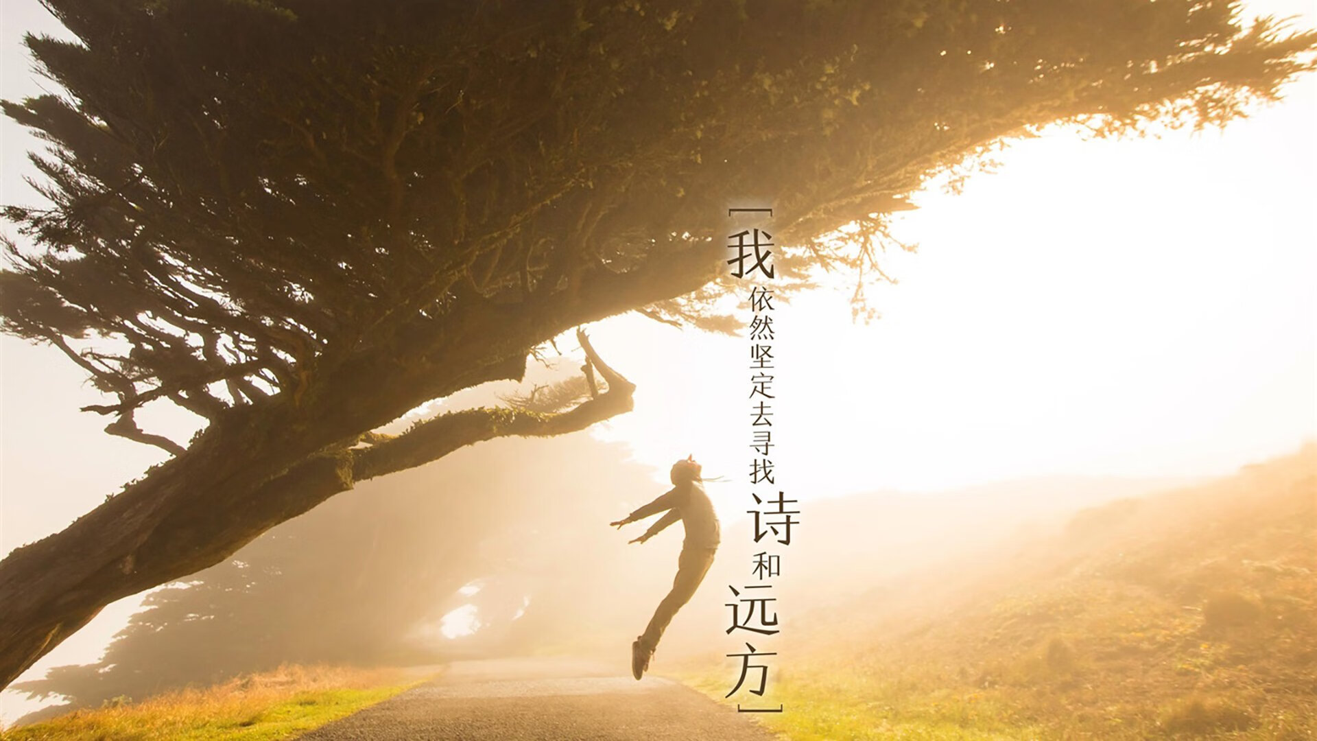 北京中赫国安主场不敌上海绿地申花，北京中赫国安球场叫什么