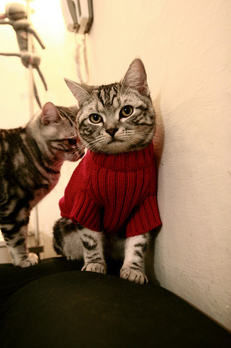 异域对决激荡人心，胜负在望谁能占上风？，异域战场