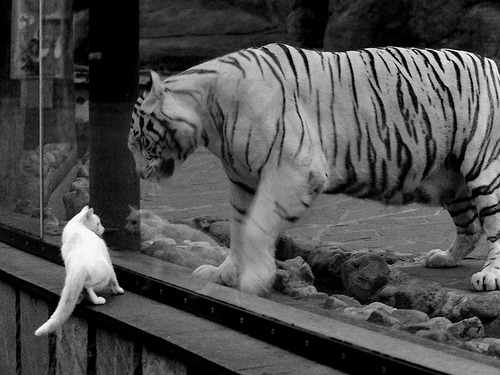 德国队员状态回勇，带来惊喜表现，德国队怎样