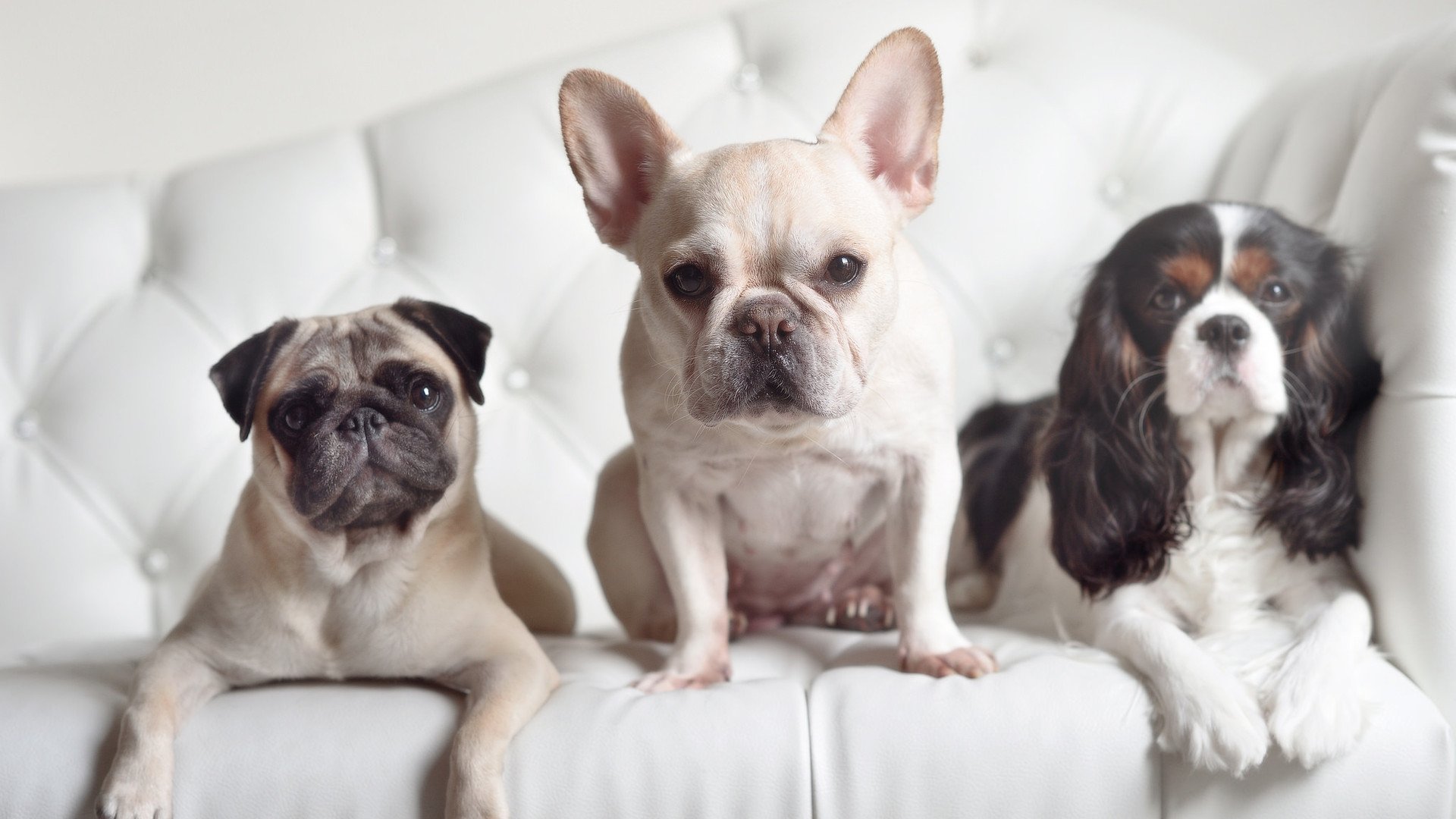 九游娱乐(jiuyou)官方网站-新闻中心开展社会责任宣传周，新闻中心开展社会责任宣传周工作