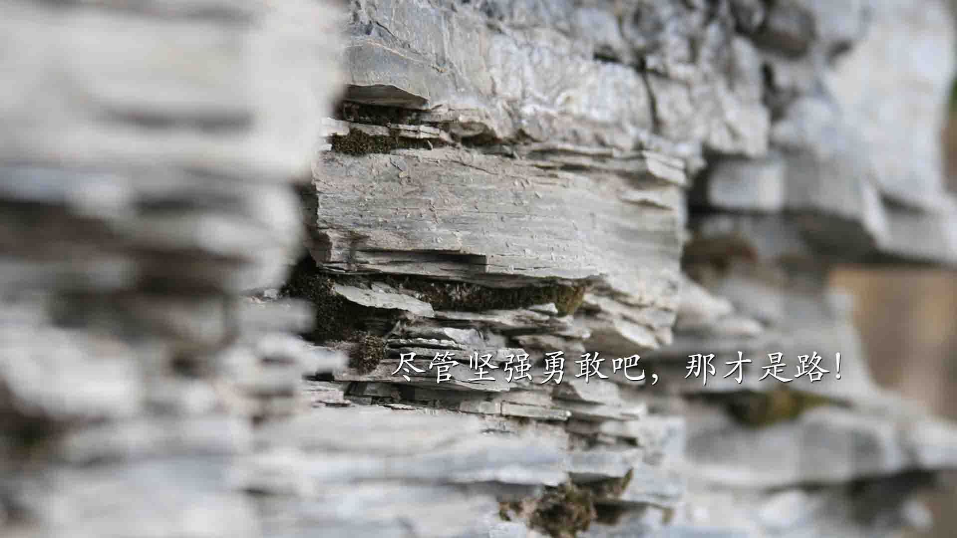 高校体育专业课程体系改革创新研究，高校体育改革发展趋势