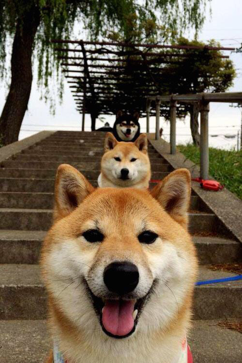 CBA赛季吸引大量篮球迷关注，cba球队2021