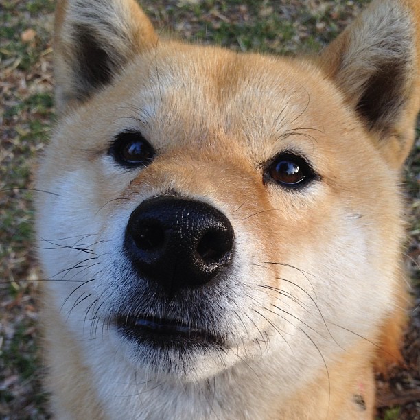 国家队体能训练标准亟待提升，国家队体能通用标准