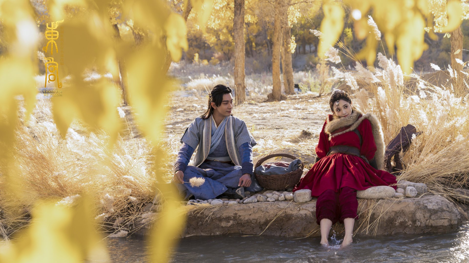 女子混合泳接力再夺桂冠，女子4×100混合泳接力决赛