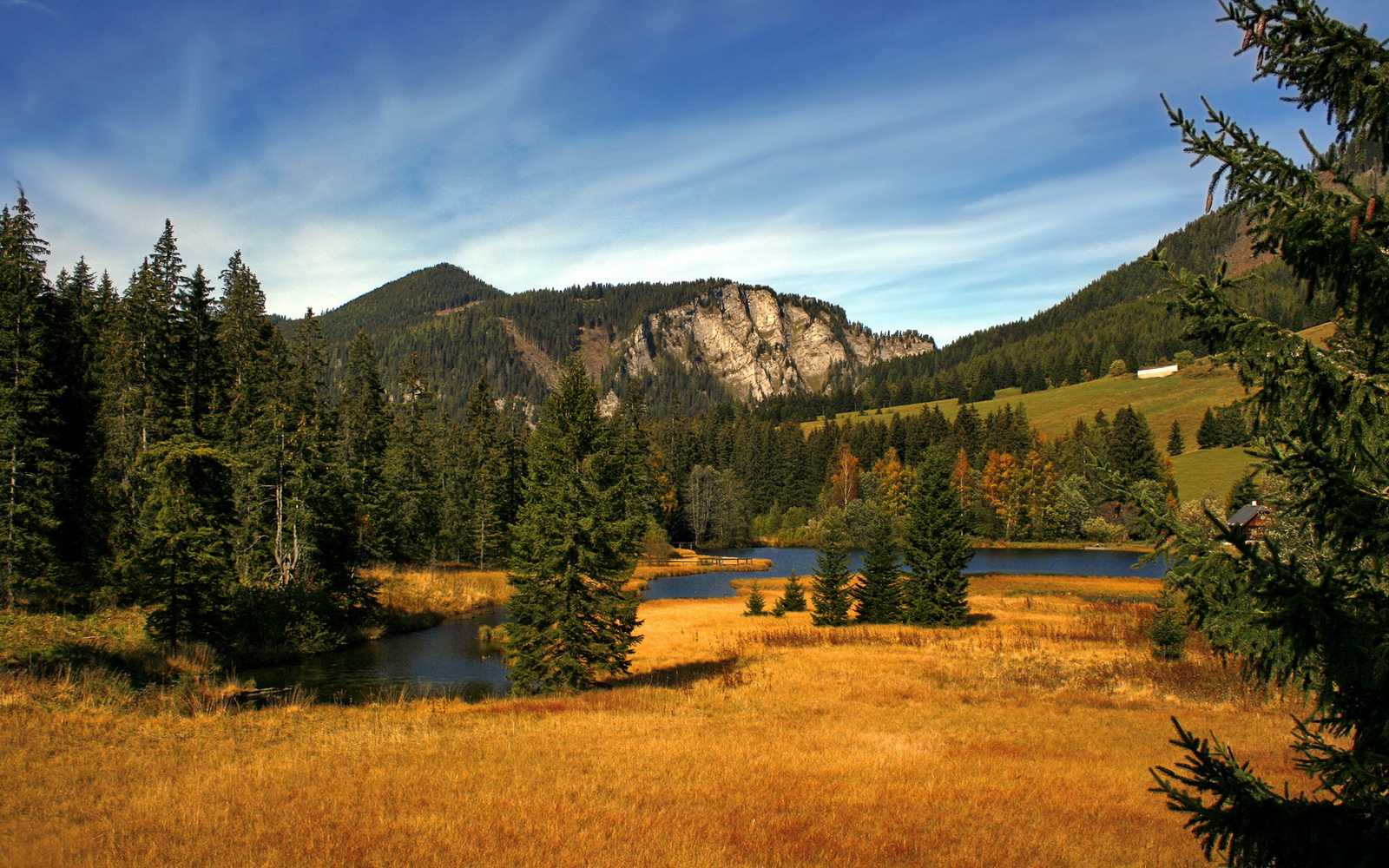 九游官网主页-巴黎奥运进入倒计时 各国代表队积极备战，巴黎奥运会筹备