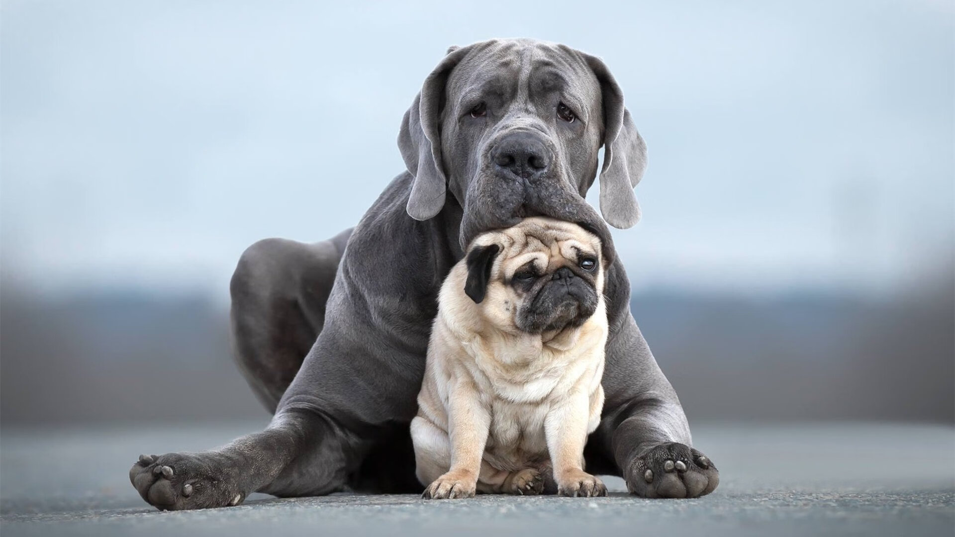 中甲俱乐部加大青训投入布局未来五年发展蓝图，中甲俱乐部靠什么赚钱
