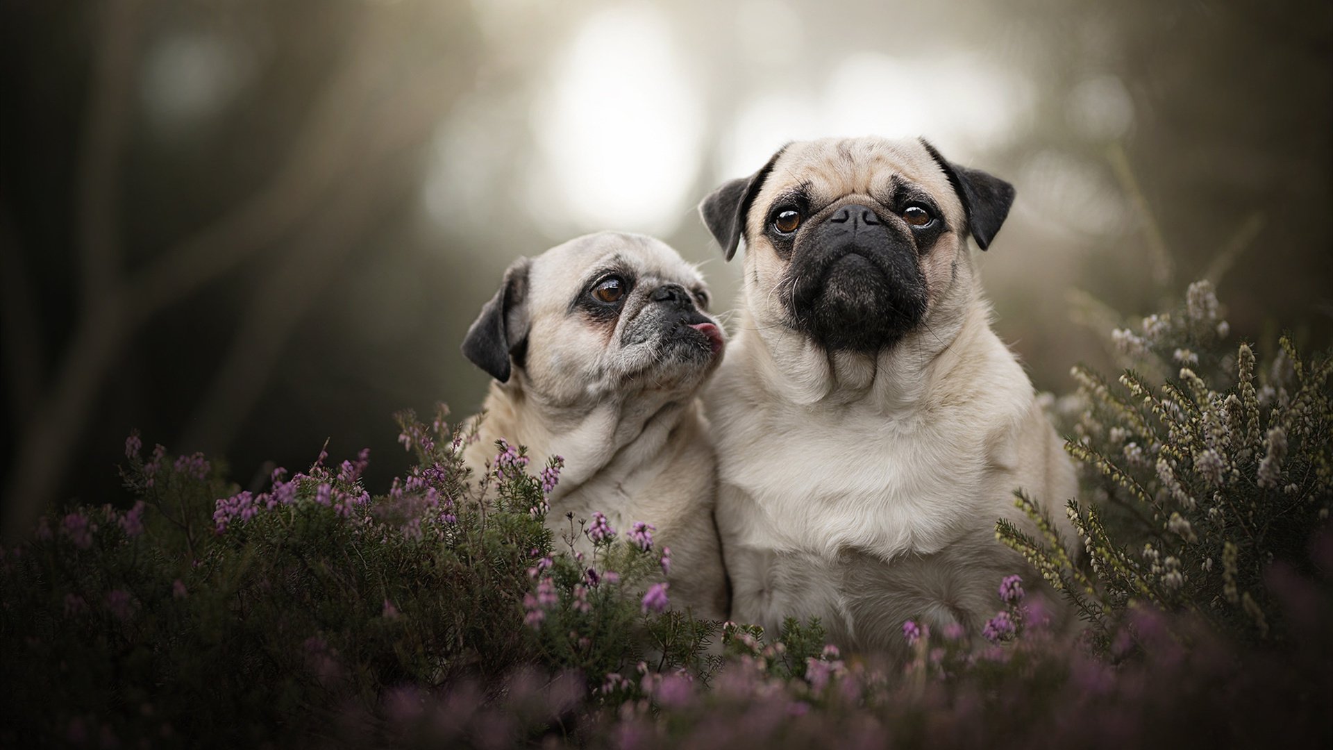 俱乐部数据团队组建完成助力训练决策更具科学性与前瞻性，组建俱乐部方案说明