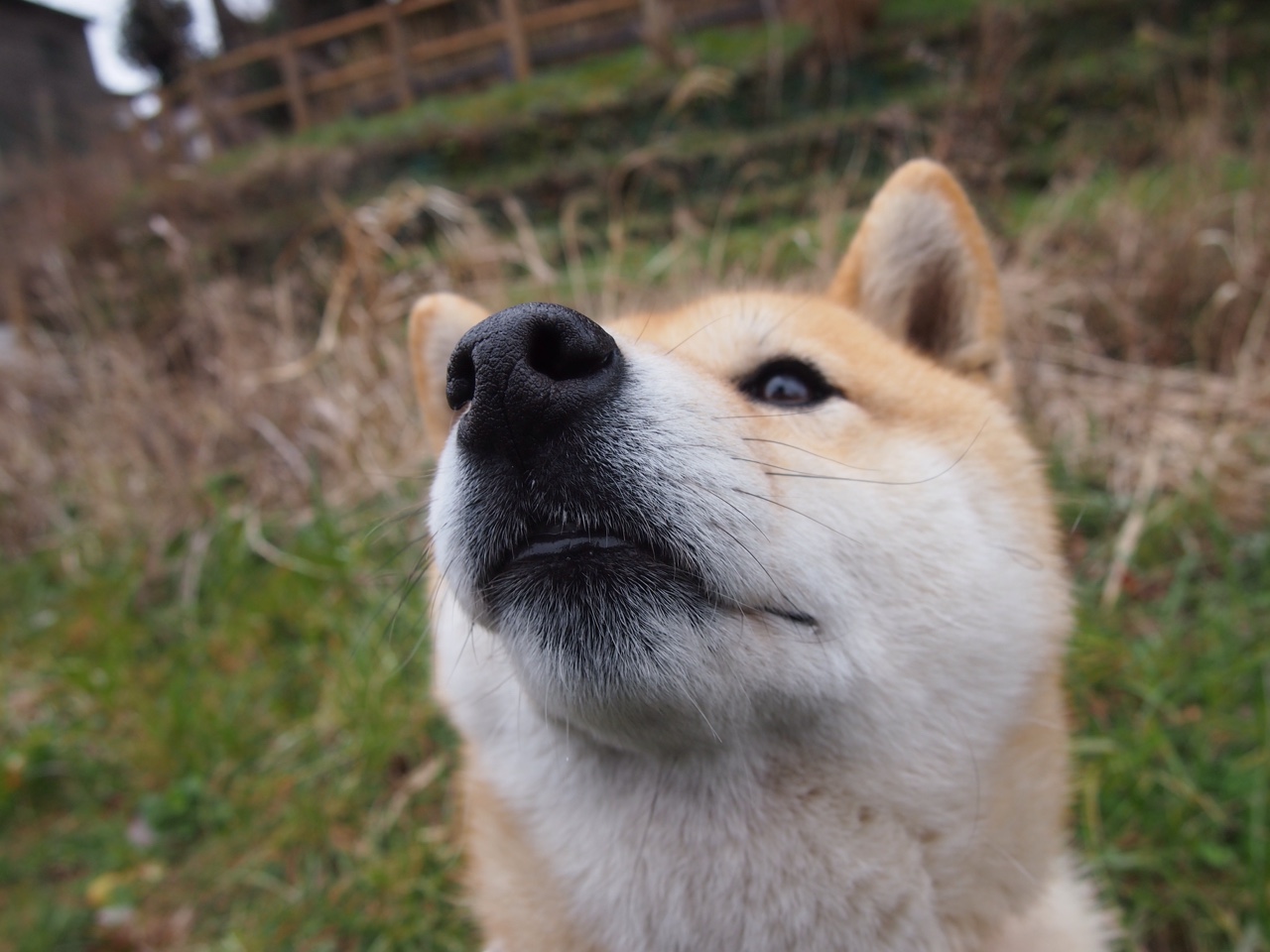 九游官网下载电脑版-凯莉·麦基翁200米仰泳表现刷新赛会纪录，凯丽麦吉翁