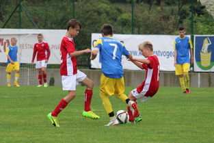 JIUYOU GAMING-塞尔维亚实力不断提升，期待在国际大赛中突破