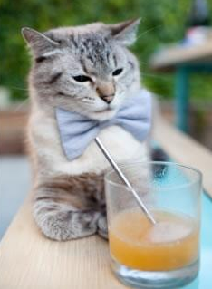 九游网游官网-女篮国家队强化防守协同提升团队防守能力，女子篮球防守视频