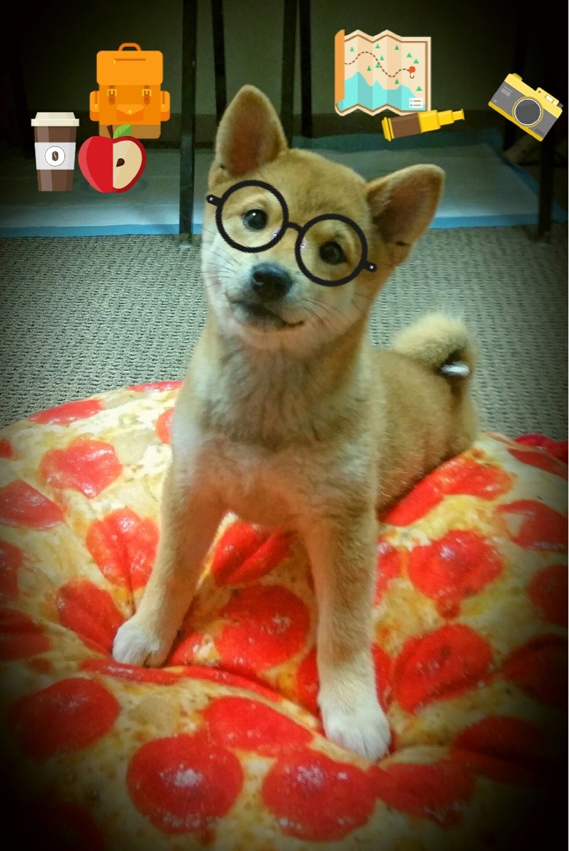 格鲁吉亚女篮在欧洲锦标赛中持续爆发,期待突破极限,格鲁吉欧女王vs